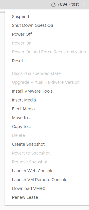 Screenshot of context menu in Cloud Director after clicking Actions option.